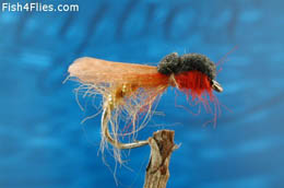 Caddis Suspender