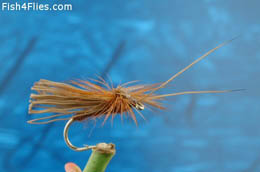Davy Caddis Brown