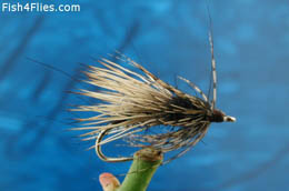 Skating Caddis Black