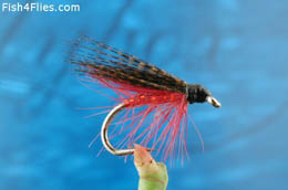 Dark Mackerel