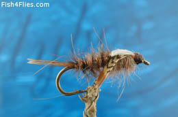 Isonychia Nymph