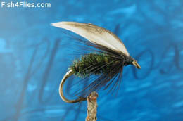 Alder