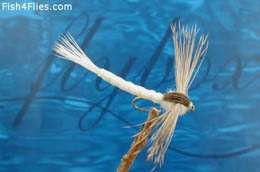 Eastern Green Drake Dun