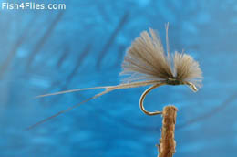 Blue Winged Olive CDC Extended Body