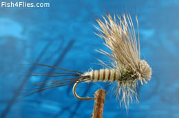Colorado Green Drake Hairwing Dun