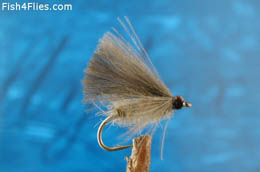Dark CDC Emerger