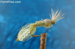 Blue Winged Olive Shuck Emerger