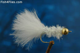 Cactus Fly White