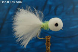 Cats Whisker Booby