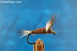 Comparadun Dark Reddish Brown