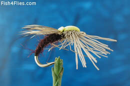 Ethafoam Sedge Cawler - Dark Claret