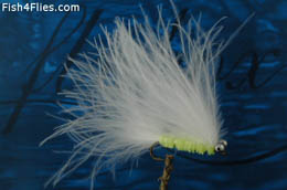 Cats Whisker