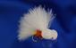 Orange and White Booby