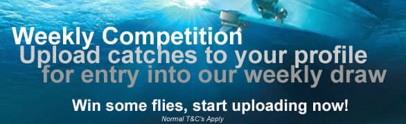 Competition