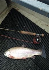 Fishing at Lenlifglow