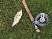 No trout but some great Rudd
