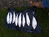 Our catch 2 man boat