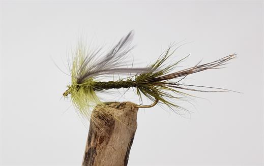 Spent Deerstalker Mayfly Olive