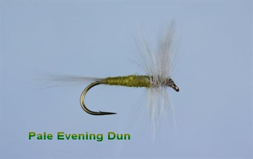 MNFT 10PCS 10# Dun Fly Fishing For Trout Fly Hook Fishing Dry May