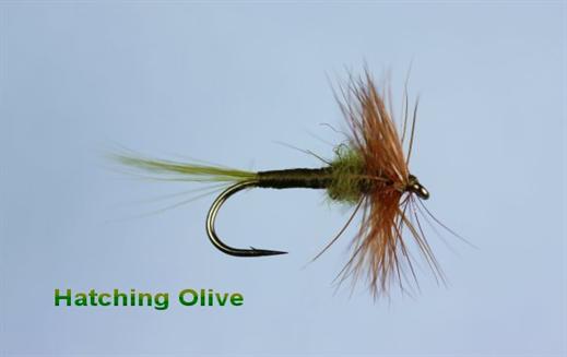 Hatching Olive Fly - Fishing Flies with Fish4Flies Worldwide