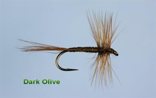 Dark Olive Fly - Fishing Flies with Fish4Flies Worldwide