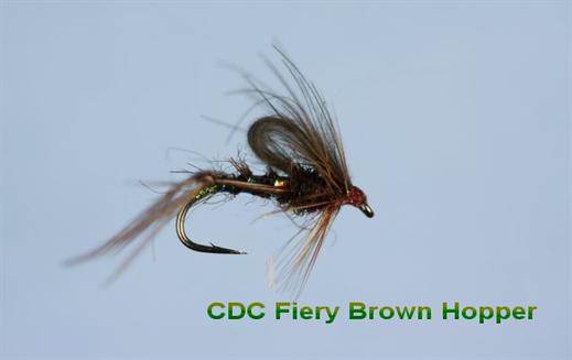 CDC Hopper Fiery Brown