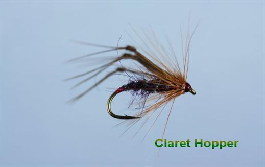 Claret Hackled Hopper