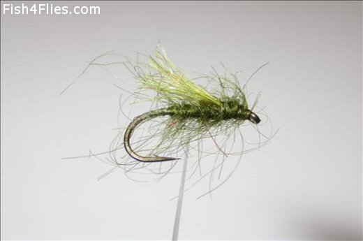Olive Lake Bit