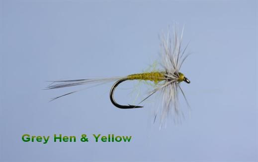 Grey Hen and Yellow