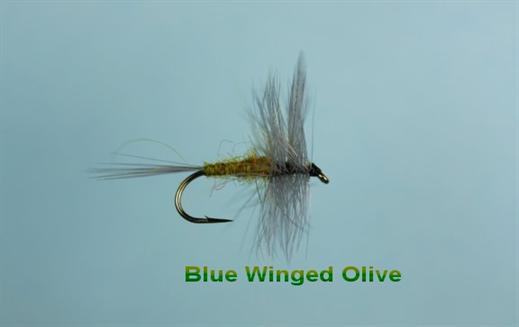 Blue Wing Olive Fly - Fishing Flies with Fish4Flies Worldwide