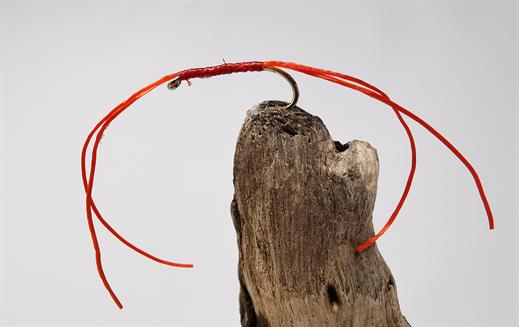 Flexi Legs Bloodworm