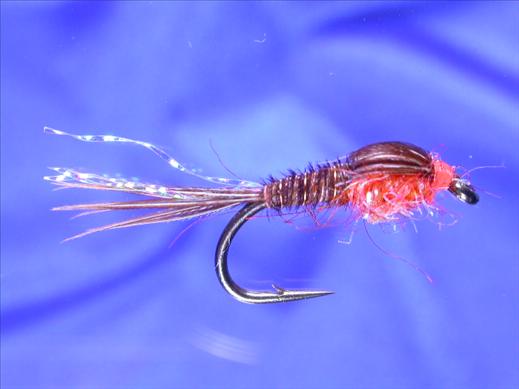 Pheasant Tail Fluo Orange