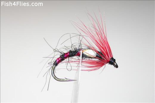 Black and Red Buzzer JC