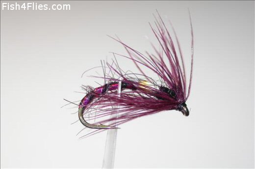 Black and Claret Buzzer JC