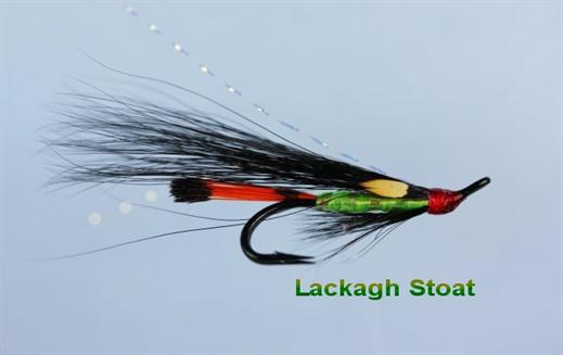 Lackagh Stoat JC