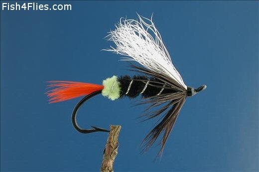 Green Pink Red Butt Skunk Flies, Butt Skunk, Salmon Fishing, Steelhead  Fishing, Fishing Lures 