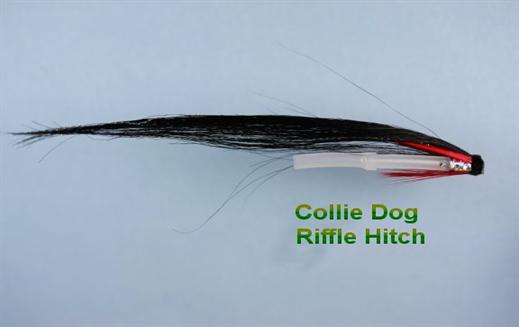 Collie Dog Riffle Hitch