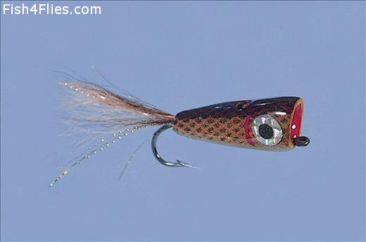 Bubble Head Gold and Bronze Fly - Fishing Flies with Fish4Flies Worldwide