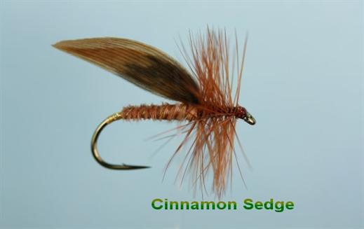 3 Cinnamon Sedges
