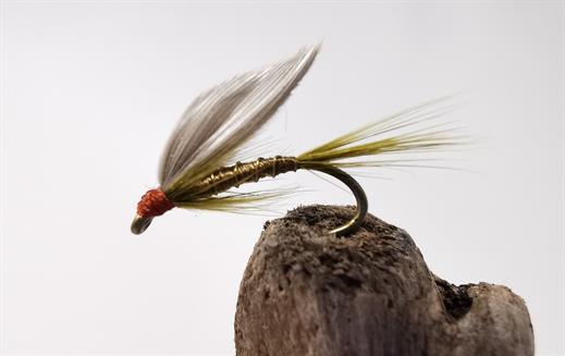 Olive Dun Wet Fly - Fishing Flies with Fish4Flies Worldwide