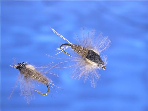 Brown CDC Nymph