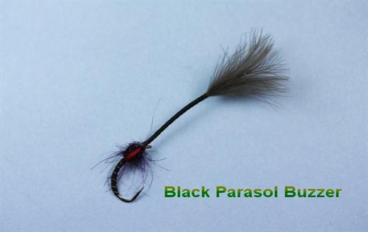 Black Parasol Buzzer