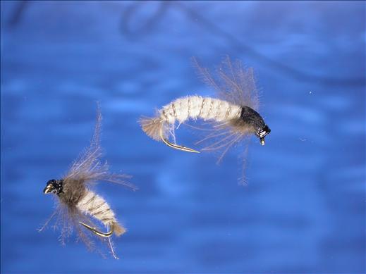 Light Caddis CDC Larva