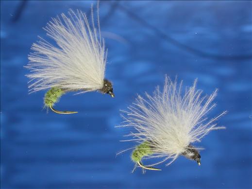 Yellow Butt CDC Caddis Fly