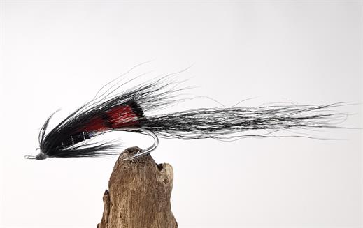 Black Ally's Shrimp Fly