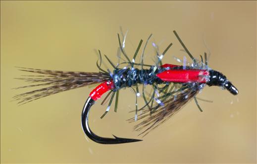 UV Straggle Black and Red Diawl Bach