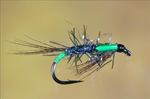 UV Straggle Black and Green Diawl Bach