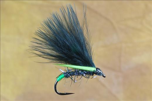 UV Straggle Black Cormorant