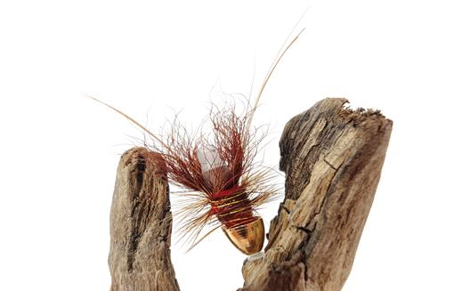 Red Francis Conehead