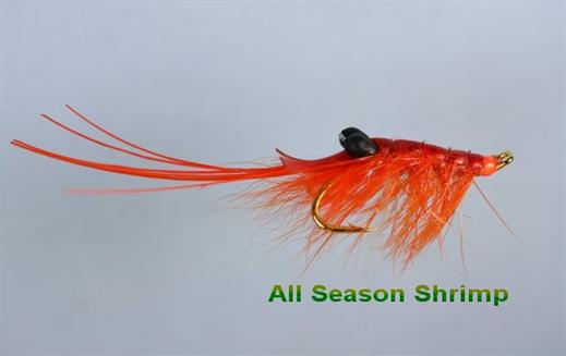 All Season Shrimp